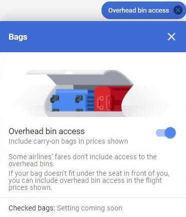GoogleFlightsBag.jpg
